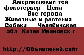 Американский той фокстерьер › Цена ­ 25 000 - Все города Животные и растения » Собаки   . Челябинская обл.,Катав-Ивановск г.